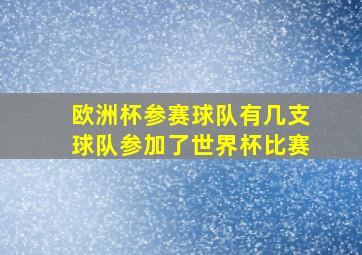 欧洲杯参赛球队有几支球队参加了世界杯比赛