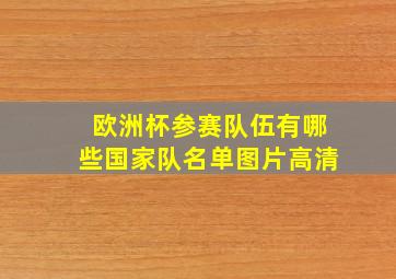 欧洲杯参赛队伍有哪些国家队名单图片高清