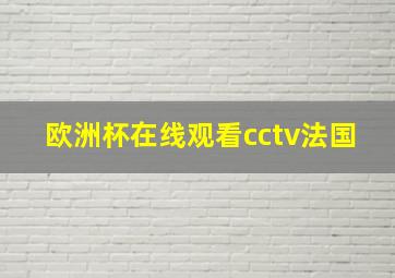 欧洲杯在线观看cctv法国