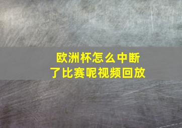 欧洲杯怎么中断了比赛呢视频回放