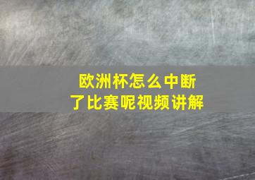 欧洲杯怎么中断了比赛呢视频讲解