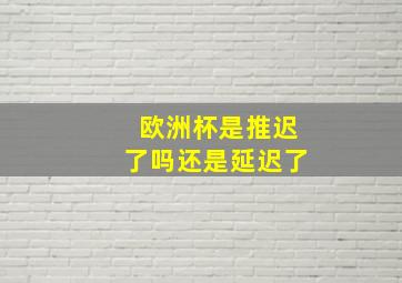 欧洲杯是推迟了吗还是延迟了