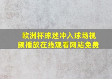 欧洲杯球迷冲入球场视频播放在线观看网站免费