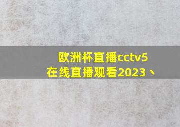 欧洲杯直播cctv5在线直播观看2023丶