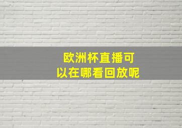 欧洲杯直播可以在哪看回放呢