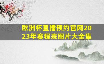 欧洲杯直播预约官网2023年赛程表图片大全集