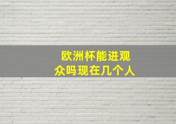 欧洲杯能进观众吗现在几个人