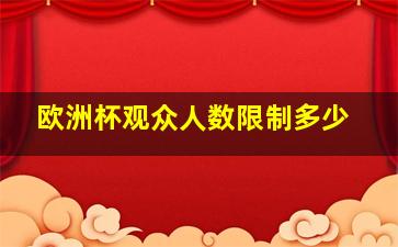 欧洲杯观众人数限制多少