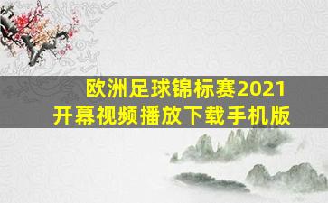 欧洲足球锦标赛2021开幕视频播放下载手机版