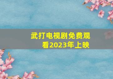 武打电视剧免费观看2023年上映