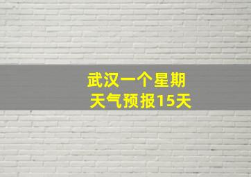 武汉一个星期天气预报15天