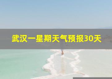 武汉一星期天气预报30天