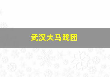 武汉大马戏团