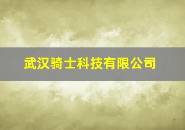 武汉骑士科技有限公司