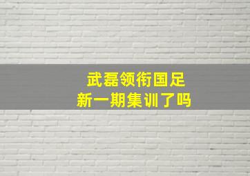 武磊领衔国足新一期集训了吗