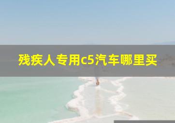 残疾人专用c5汽车哪里买