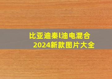 比亚迪秦l油电混合2024新款图片大全