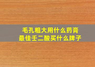 毛孔粗大用什么药膏最佳壬二酸买什么牌子