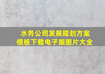 水务公司发展规划方案模板下载电子版图片大全