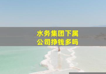 水务集团下属公司挣钱多吗