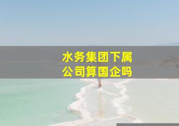 水务集团下属公司算国企吗