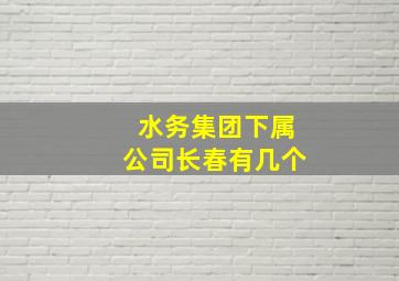 水务集团下属公司长春有几个