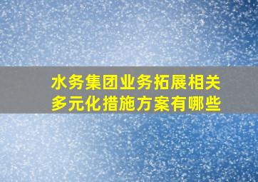 水务集团业务拓展相关多元化措施方案有哪些