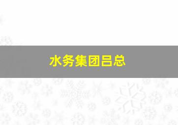 水务集团吕总