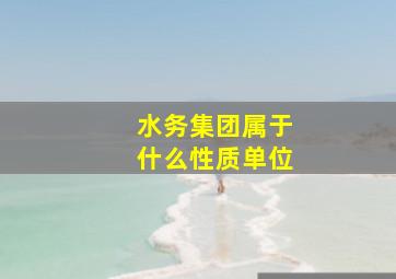 水务集团属于什么性质单位