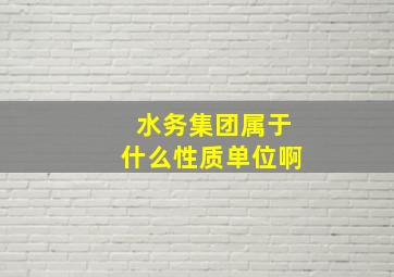 水务集团属于什么性质单位啊