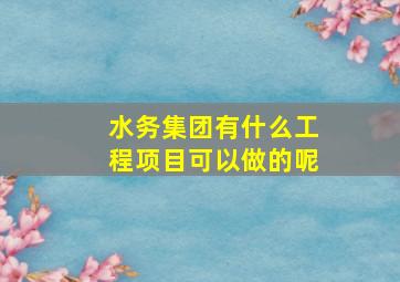 水务集团有什么工程项目可以做的呢