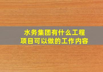 水务集团有什么工程项目可以做的工作内容