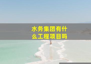 水务集团有什么工程项目吗