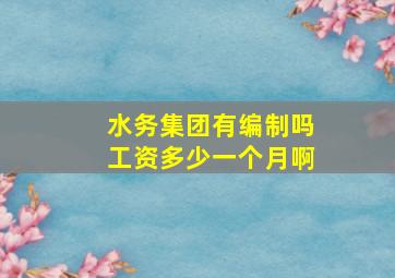 水务集团有编制吗工资多少一个月啊