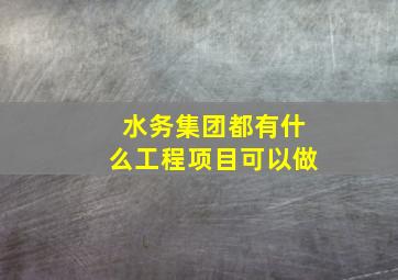 水务集团都有什么工程项目可以做