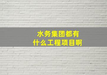 水务集团都有什么工程项目啊