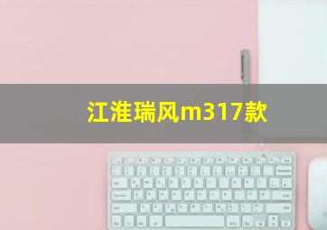 江淮瑞风m317款