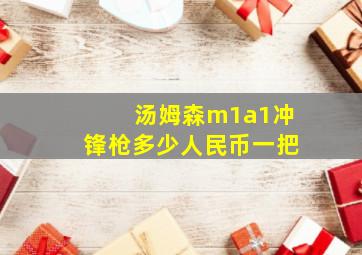 汤姆森m1a1冲锋枪多少人民币一把