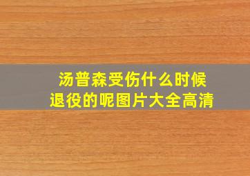 汤普森受伤什么时候退役的呢图片大全高清