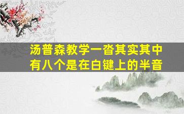 汤普森教学一沓其实其中有八个是在白键上的半音