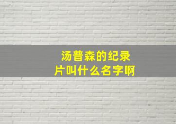 汤普森的纪录片叫什么名字啊