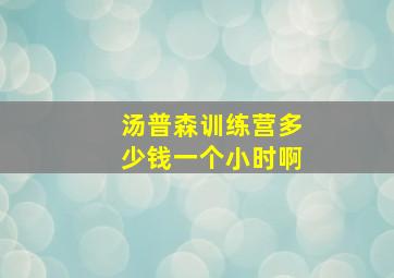 汤普森训练营多少钱一个小时啊