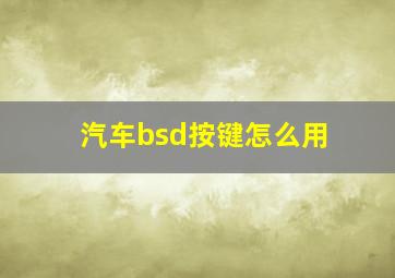 汽车bsd按键怎么用