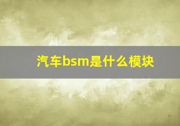 汽车bsm是什么模块