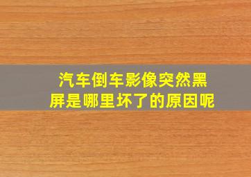 汽车倒车影像突然黑屏是哪里坏了的原因呢