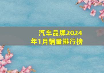 汽车品牌2024年1月销量排行榜