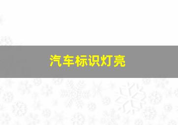 汽车标识灯亮