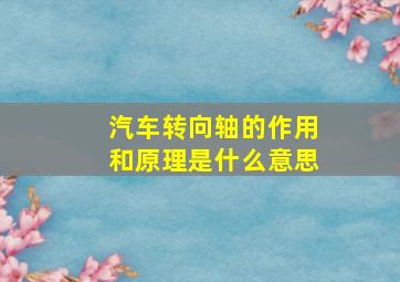 汽车转向轴的作用和原理是什么意思