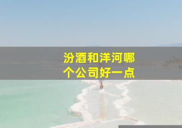 汾酒和洋河哪个公司好一点