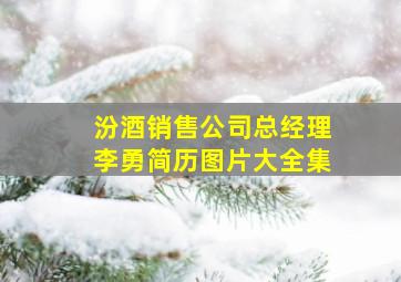 汾酒销售公司总经理李勇简历图片大全集